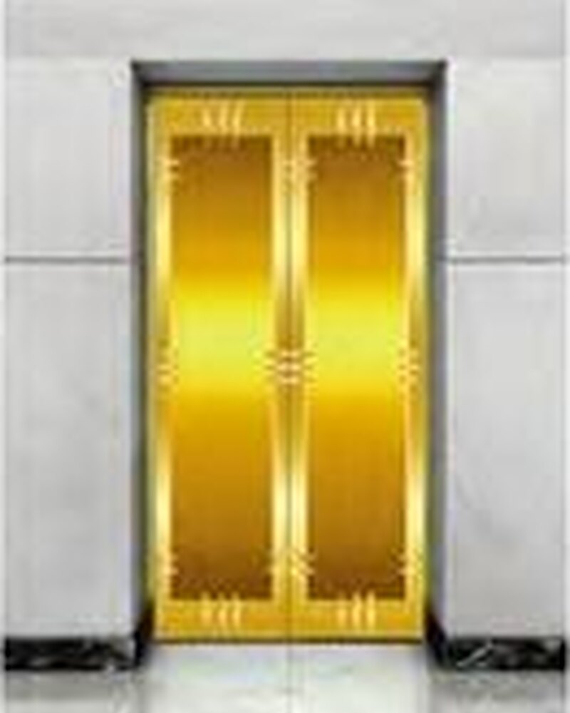 Titanium-gold mirror etched stainless steel landing door